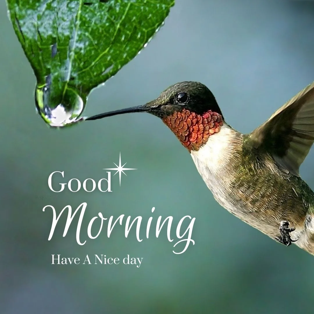 80+ Good morning images free to download 59